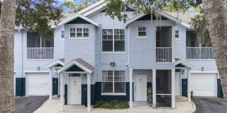 RiverTree Gallery 24