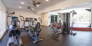 Canter Chase Gallery 14