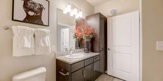 Springs at Stadium Village Gallery 12