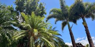 Spacious Home Close to Beaches, Shopping and More in South Maui! Gallery 38