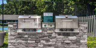 The Forest Gallery 14