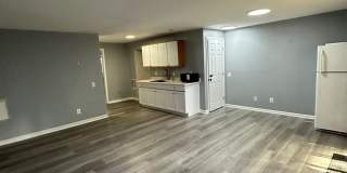 367 BRIDLE CREST SQ. NE -BASEMENT Gallery 4