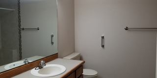 CUTE & CLASSY IN LAKE OSWEGO! Gallery 14