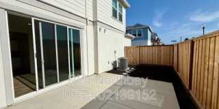 109 Clownfish Street Gallery 19