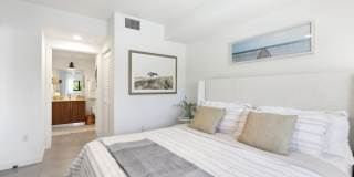 Westgate on University Gallery 11