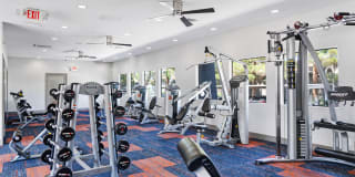 Allanza at the Lakes Gallery 6