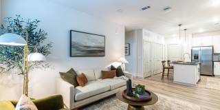 Livano Knoxville Gallery 10