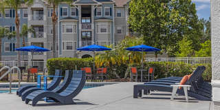 Cane Island Gallery 3