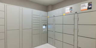 Essence Essence Gallery 15