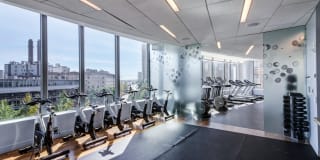 Radian Gallery 11