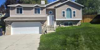 9353 Windflower Ln 9353 Windflower Ln Gallery 1