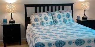 1673 Bay Road Gallery 1