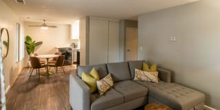 The Element The Element Gallery 7