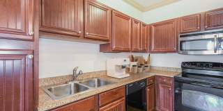 The Village at Lake Lily Gallery 57