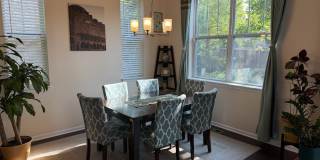 463 TIMBER TRAIL Court Gallery 6