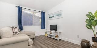 Equinox on Prince Gallery 17