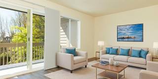 Luke Apartments Gallery 2