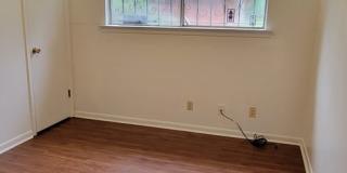 Gorgeous 3 bedroom/1.5 bath home! Gallery 13