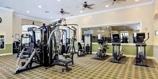 Beautiful 2BR Condo in Desirable Courtney Palms Gallery 17
