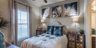 Century Palm Bluff Gallery 32