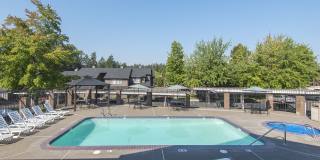 9380 Southwest 146th Terrace - M2 Gallery 51