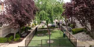 Adora Townhomes Gallery 27