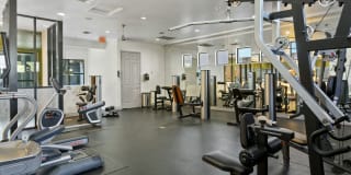 The Urban Gallery 14