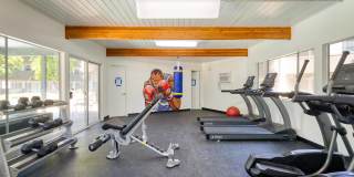 The Harlow Gallery 12