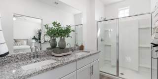 Annex at Cadence Gallery 17