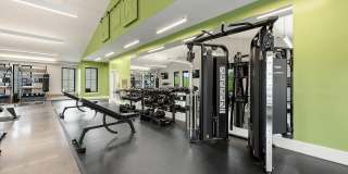 Ltd. Findlay Gallery 18