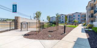 Arrive Suisun Gallery 28