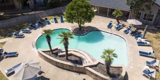 The Lynx The Lynx Gallery 20