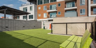 Roadrunner on McDowell Gallery 22