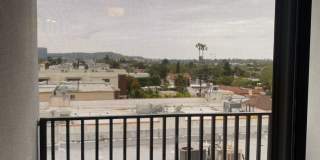 The Greenly Gallery 14