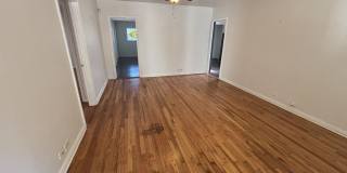 128 Corona Gallery 16