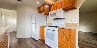 Recently Updated Gallery 6