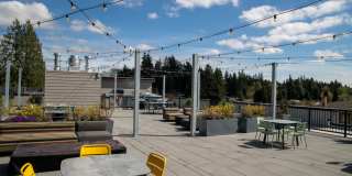 Morado Bothell Gallery 31