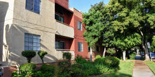 1010 Raleigh Apartments Gallery 4