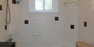 Huge Yard & Duck Pond Charm! Gallery 16