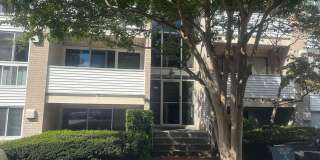 5600 BLOOMFIELD Drive Gallery 1
