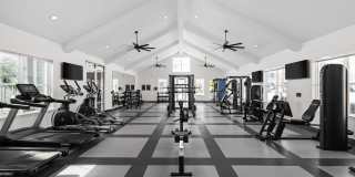 Standard441 Gallery 37