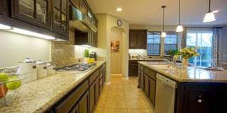 3200 Spicewood Ln Gallery 12