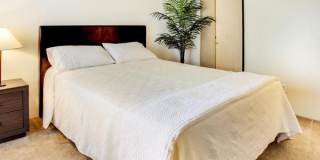 Vista Ridge Gallery 42