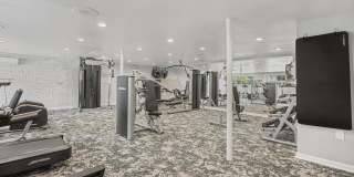 The Willow Gallery 30