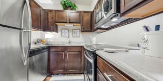 Whisper Hollow Gallery 1