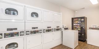 Townhouse West Gallery 5