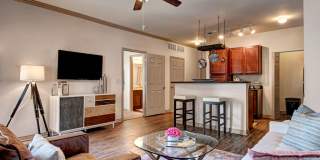 Aviare Arts District Gallery 1