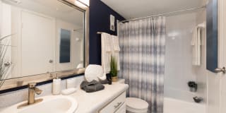 McAlister Gallery 14