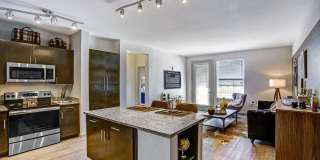 Palisade Park Gallery 2