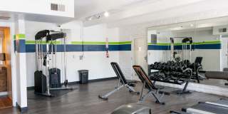 Raven Gallery 10